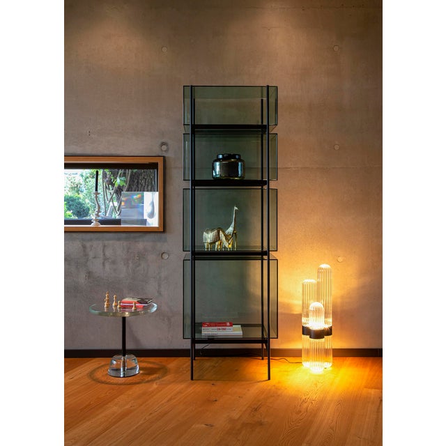 Contemporary Small Cactus Floor Lamp in Transparent with Black Centrepiece by Mickael Koska for Pulpo For Sale - Image 3 of 7