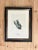 1920s Birds of Sweden Chromolithograph Columba Oenas For Sale - Image 5 of 7