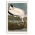 Wood Ibis After Audubon With Blue Sky Giclee Print From CFA Editions For Sale
