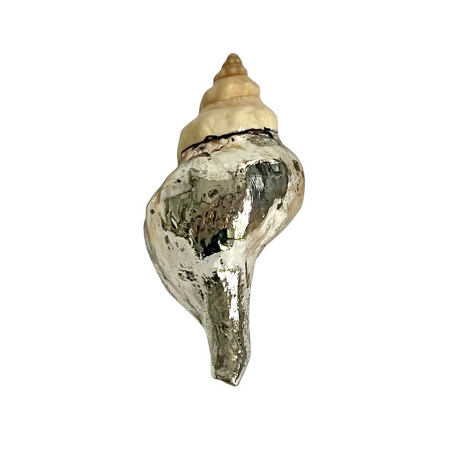 Metal Vintage Partially Silvered Conch Shell in the Style of Bucellati For Sale - Image 7 of 15