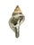 Metal Vintage Partially Silvered Conch Shell in the Style of Bucellati For Sale - Image 7 of 15