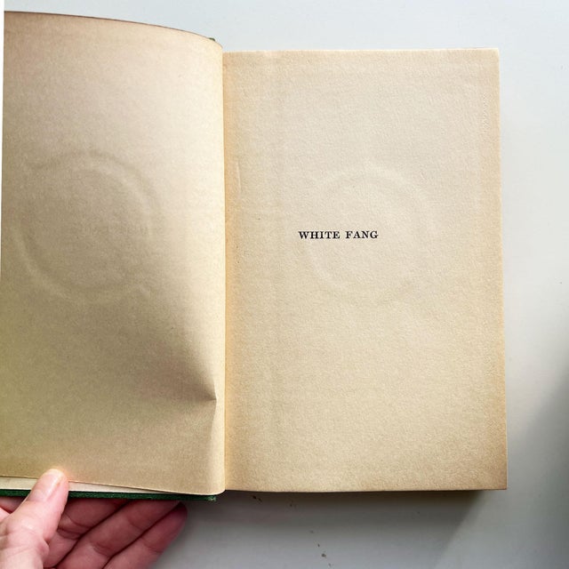 Antique Jack London White Fang Seven Seas Edition Collier Illustrated c.1906 For Sale - Image 11 of 15