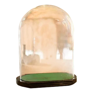1890's Antique Ovoid Display Dome