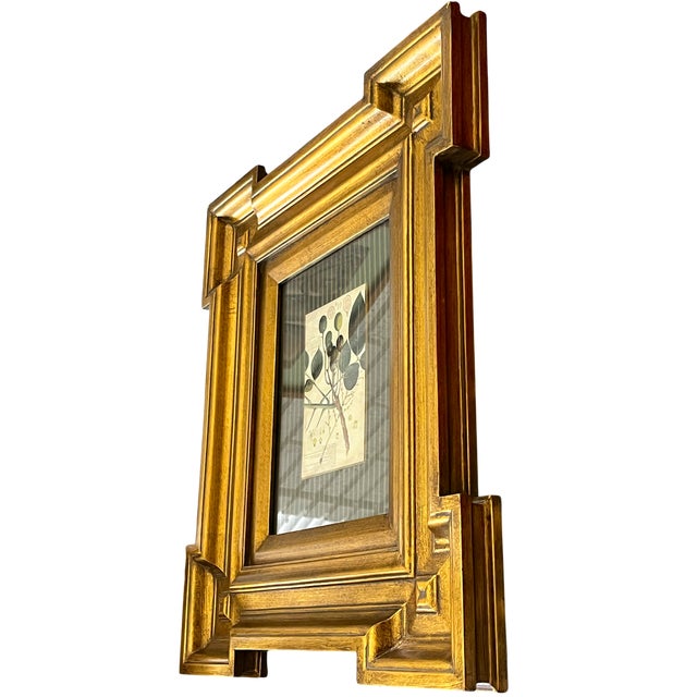Paragon Botanical & Fruit Prints in Monumental Architectural Giltwood Frames, Pair For Sale - Image 9 of 16