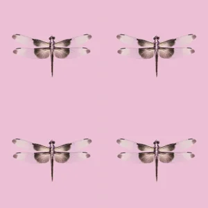 DWM | MALOOS Modern Dragonfly Custom Print Wallpaper