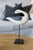 Early 20th Century Hand-Carved Shorebird Sculpture on Stand, Early–Mid 20th Century For Sale - Image 5 of 6