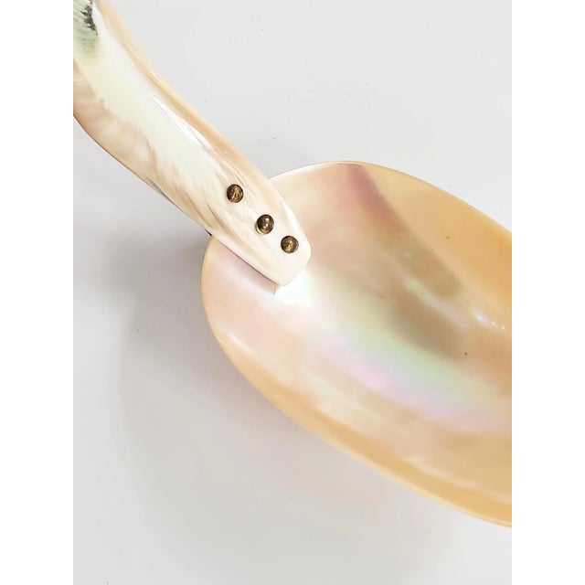 Antique White 1970s Mother-Of-Pearl Organic Sculptural Sea Shell Serving Spoon For Sale - Image 8 of 12