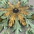 Large Florentiner Theatre Ceiling Light from Banci Firenze, Italy, 1970s For Sale - Image 10 of 18