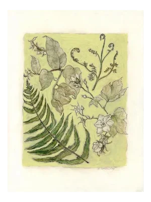 Mixed Media Original Painting Northwest Botanical 3