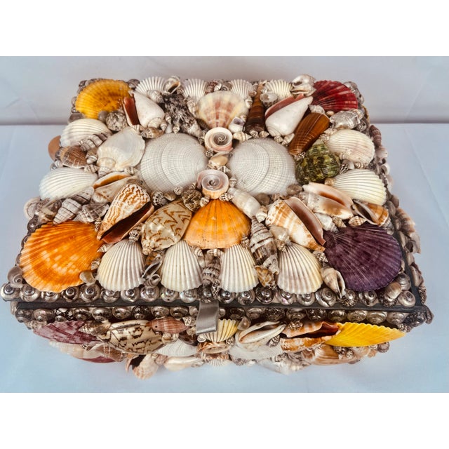 Large multi colored natural sea shell covered hinged box. The shells have been beautifully arranged with a border of tiny...