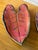Boho Chic Pair of Contemporary Studio Pottery Leaf Form Trays Signed 2017 For Sale - Image 3 of 12