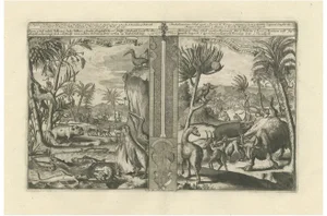 R. De Hooghe, Fauna of the West Indies, 1708, Print