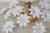 1970s Wonderful Murano Ceiling Light White Flowers For Sale - Image 12 of 15