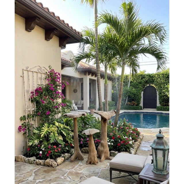 Set of Vintage Organic Teak Driftwood Mushroom Sculptures, 3 Pieces For Sale - Image 12 of 12