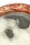 Large Circular Czech Tramway Mirror For Sale - Image 6 of 13
