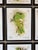 The Eighteen Framed Art, Set of 18 For Sale - Image 3 of 11