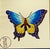 Asian Korean Style Embroidery on Silk of a Butterfly Framed 12.5" For Sale - Image 3 of 7