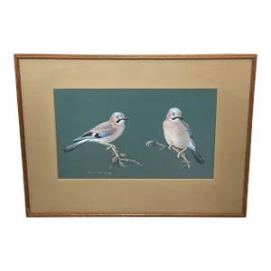British Watercolor Painting Jays Perched Bird Study by Donald Watson Framed Dated 1957