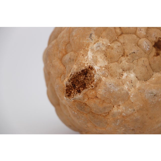 Cerebroid Silex, Middle Jurassic, Iberian Peninsula For Sale - Image 11 of 16