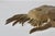 Brass S. Lascoux Brass Finish Large Fish Wall Sculpture Mid-Century Vintage For Sale - Image 8 of 15