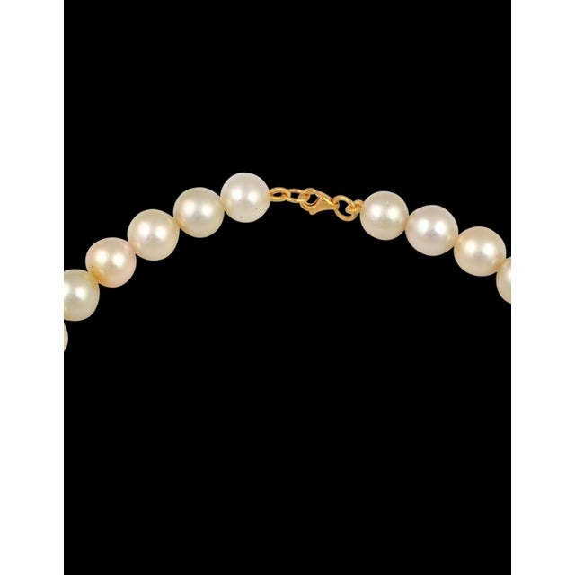 2010s Graduating Cream Color South Sea Pearls Necklace 14 Karat Yellow Gold Clasp For Sale - Image 5 of 18