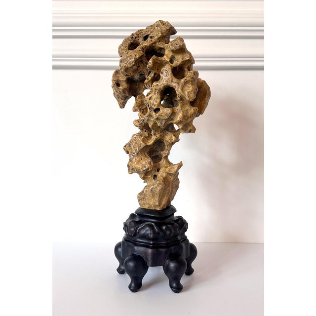 Chinese Chinese Yellow Scholar Taihu Stone on Wood Stand For Sale - Image 3 of 13