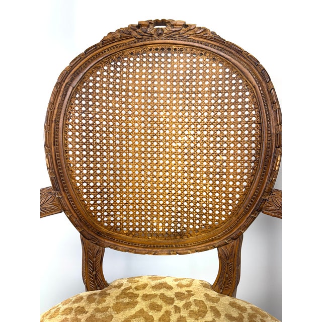 Vintage Louis XVI Style Carved Cane Back Armchairs With Leopard Fabric, a Pair For Sale - Image 4 of 17