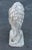 Stone Gray Vintage Cast Stone Lion with Shield Garden Statue For Sale - Image 8 of 12
