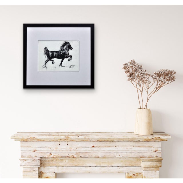 Elin Sian Blake, Black Welsh Cob, Charcoal on Paper For Sale - Image 17 of 18