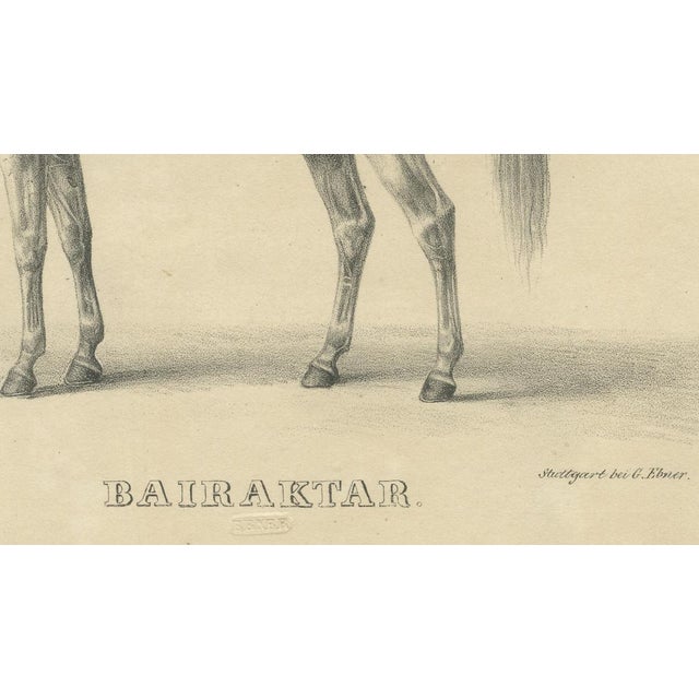 Mid 19th Century August Jäger, Horse Bairaktar, 1846, Paper Lithograph For Sale - Image 5 of 10