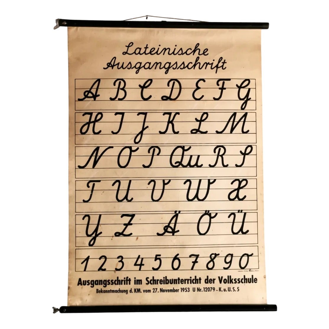 Mid-Century School Wall Chart with Latin Source Script, 1950s | Chairish