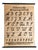 Mid-Century School Wall Chart with Latin Source Script, 1950s For Sale