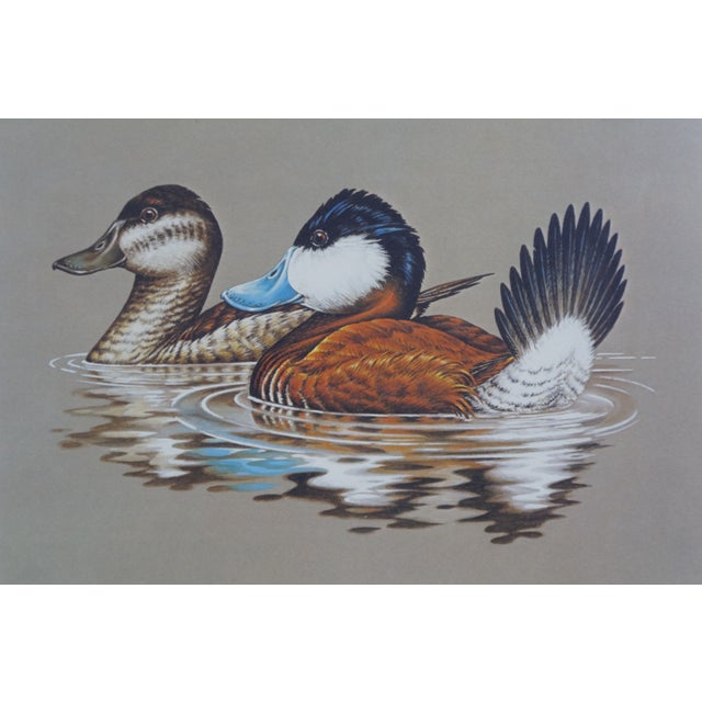 1980s 4 Ducks Unlimited Federal Duck Signed Stamp Prints Brass Plaque Pine Frame 25" - Set of 4 For Sale - Image 10 of 17