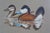 1980s 4 Ducks Unlimited Federal Duck Signed Stamp Prints Brass Plaque Pine Frame 25" - Set of 4 For Sale - Image 10 of 17