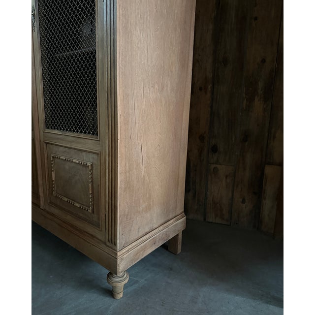 Antique Library with Wire Mesh Doors, 1890s For Sale - Image 10 of 16