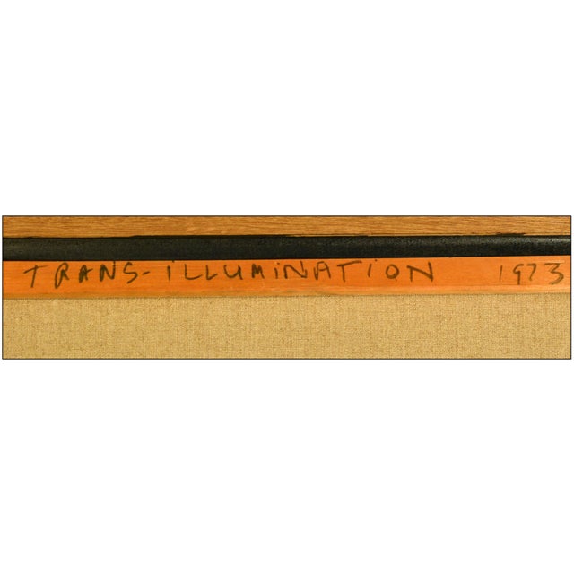 1970s Trans-Illumination, Rita Simon | Chairish