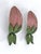 Mid-Century Floral Sconces by Holländer Leuchten, Germany, 1970s, Set of 2 For Sale - Image 10 of 18