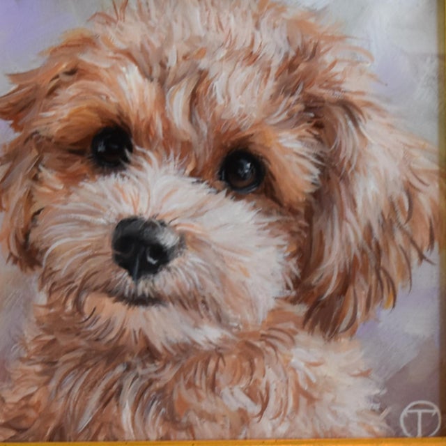 Maltipoo Puppy Dog Pet Portrait Painting Including Antiqued Museum Quality Gold Frame For Sale - Image 4 of 7
