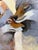 “Coyote Love” Art by LWren Walraven For Sale In Santa Fe - Image 6 of 11
