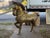 1970s Monumental Sergio Bustamonte Horse For Sale - Image 10 of 12