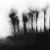 Set of 3 - 'Blurred Landscape' Black and White Photography - Art Wall Installation 60' X 20' For Sale - Image 4 of 7