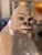 Ceramic Seated Gorilla Sculpture in White Ceramic by Ronzan, 1950s For Sale - Image 7 of 18