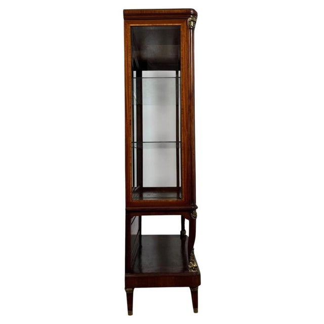 19th Century Antique French Mahogany Glazed Display Vitrine Cabinet For Sale - Image 3 of 10
