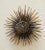 Metal Mid 20th Century Diminutive Gilt Iron Two-Tier Sunburst Wall Sculpture by William Bowie For Sale - Image 7 of 13