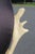 Attributed to Arthur Court Antler Side Chair 1970s For Sale - Image 9 of 18
