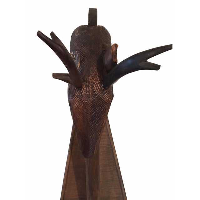 Large Antique Early 20th Century Oak Wood Stag Head Harp For Sale - Image 9 of 13