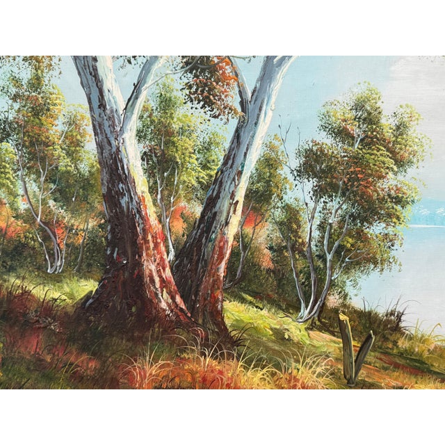 Realism Tranquil Australian Landscape with Eucalyptus Trees - Vintage 20th Century Art 1960 Circa For Sale - Image 3 of 14
