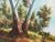 Realism Tranquil Australian Landscape with Eucalyptus Trees - Vintage 20th Century Art 1960 Circa For Sale - Image 3 of 14