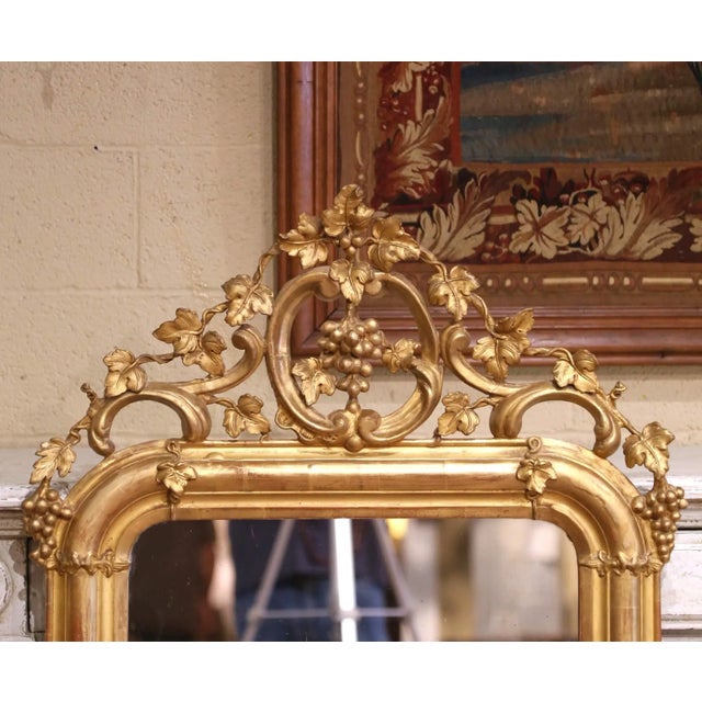 French 19th Century French Louis XV Carved Giltwood Mirror With Grape and Vine Crest For Sale - Image 3 of 7