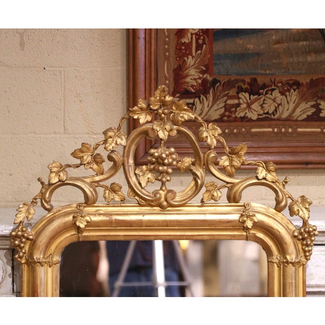 French 19th Century French Louis XV Carved Giltwood Mirror With Grape and Vine Motif For Sale - Image 3 of 7